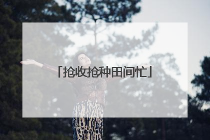 抢收抢种田间忙