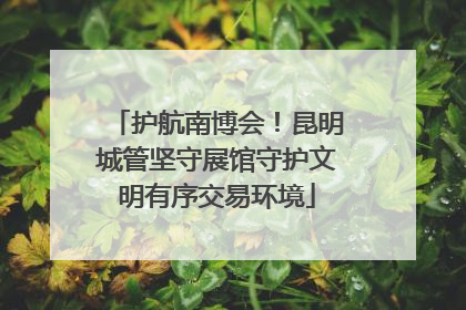 护航南博会！昆明城管坚守展馆守护文明有序交易环境