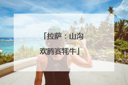 拉萨：山沟欢腾赛牦牛