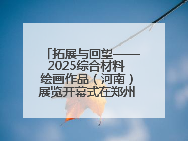 拓展与回望——2025综合材料绘画作品（河南）展览开幕式在郑州美术馆举办