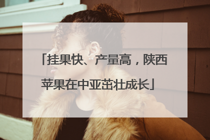挂果快、产量高，陕西苹果在中亚茁壮成长