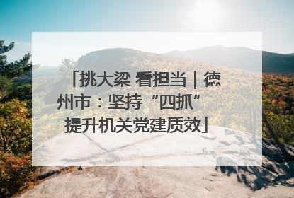 挑大梁 看担当｜德州市：坚持“四抓” 提升机关党建质效
