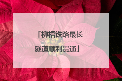 柳梧铁路最长隧道顺利贯通