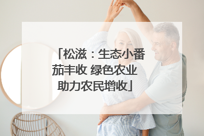 松滋：生态小番茄丰收 绿色农业助力农民增收