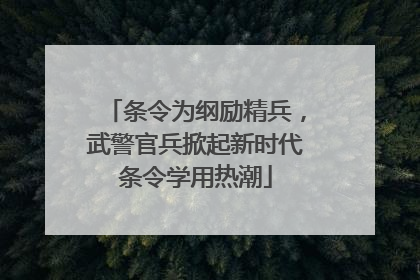 条令为纲励精兵，武警官兵掀起新时代条令学用热潮