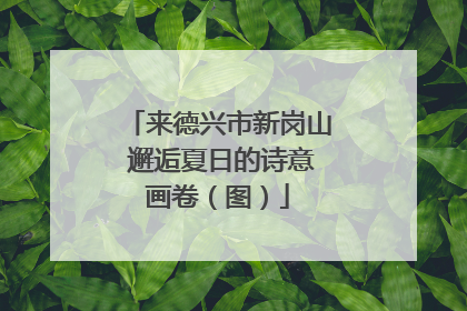 来德兴市新岗山 邂逅夏日的诗意画卷（图）