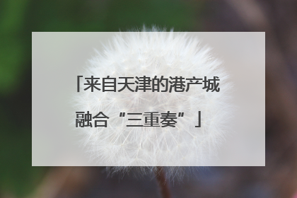 来自天津的港产城融合“三重奏”