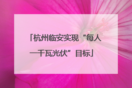 杭州临安实现“每人一千瓦光伏”目标
