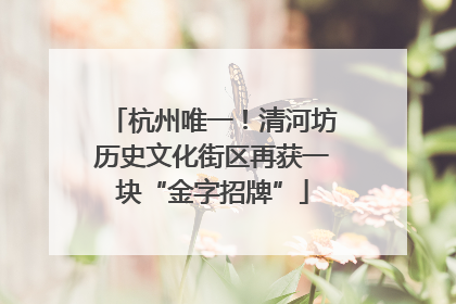 杭州唯一！清河坊历史文化街区再获一块“金字招牌”