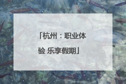 杭州：职业体验 乐享假期