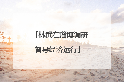 林武在淄博调研督导经济运行
