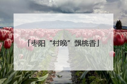 枣阳“村晚”飘桃香
