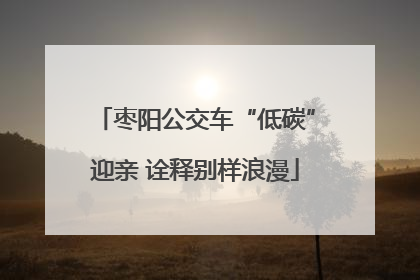 枣阳公交车“低碳”迎亲 诠释别样浪漫