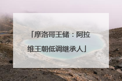 摩洛哥王储：阿拉维王朝低调继承人