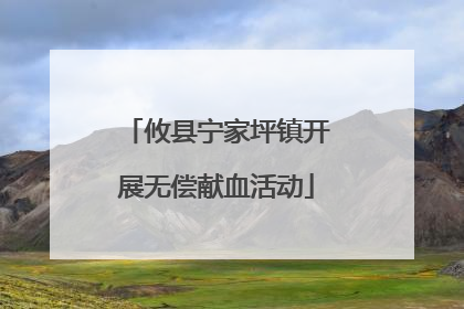 攸县宁家坪镇开展无偿献血活动