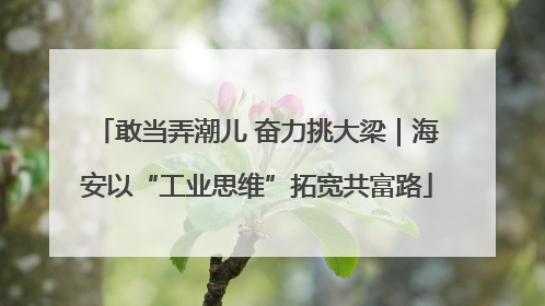 敢当弄潮儿 奋力挑大梁｜海安以“工业思维”拓宽共富路
