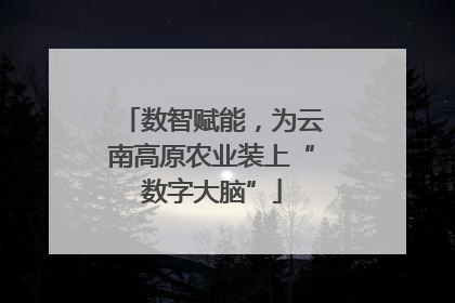 数智赋能，为云南高原农业装上“数字大脑”