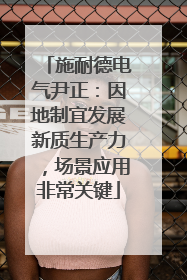 施耐德电气尹正：因地制宜发展新质生产力，场景应用非常关键