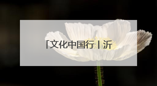 文化中国行丨沂蒙老区“守艺人”的文化匠心