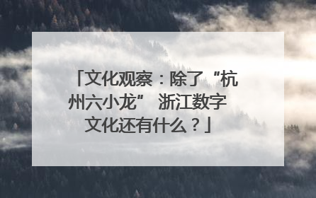 文化观察：除了“杭州六小龙” 浙江数字文化还有什么？