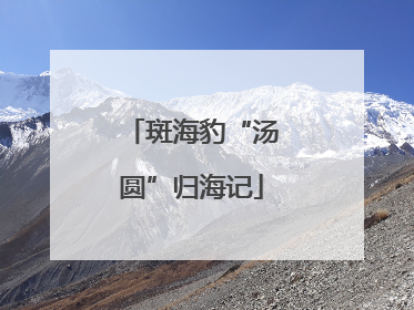 斑海豹“汤圆”归海记