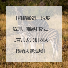 料箱搬运、垃圾清理、商品扫码……直击人形机器人技能大赛现场