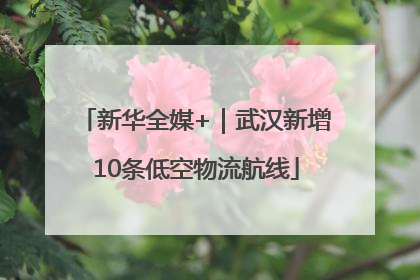 新华全媒+｜武汉新增10条低空物流航线