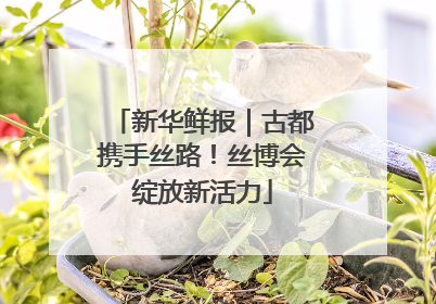 新华鲜报｜古都携手丝路！丝博会绽放新活力