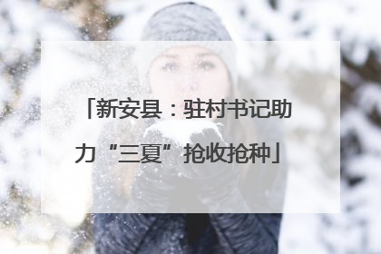 新安县：驻村书记助力“三夏”抢收抢种