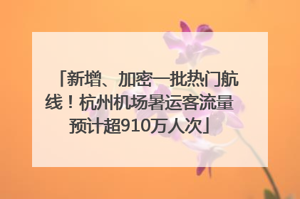 新增、加密一批热门航线！杭州机场暑运客流量预计超910万人次