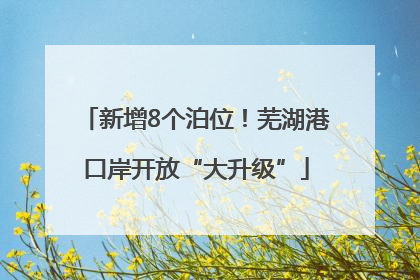 新增8个泊位！芜湖港口岸开放“大升级”
