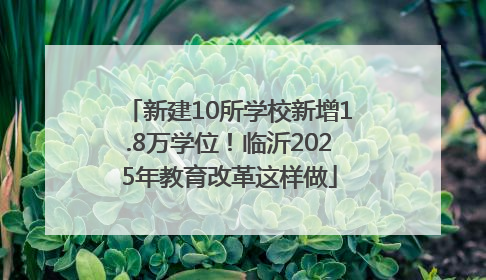 新建10所学校新增1.8万学位！临沂2025年教育改革这样做