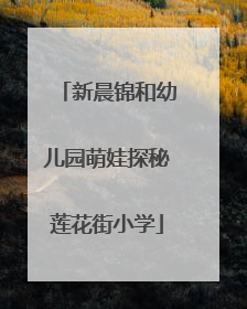 新晨锦和幼儿园萌娃探秘莲花街小学