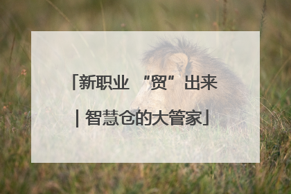 新职业 “贸”出来｜智慧仓的大管家