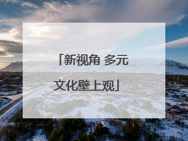 新视角 多元文化壁上观