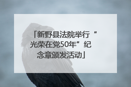 新野县法院举行“光荣在党50年”纪念章颁发活动