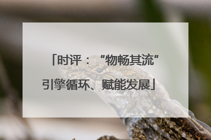 时评：“物畅其流”引擎循环、赋能发展