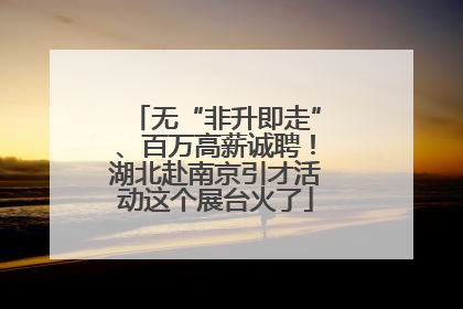 无“非升即走”、百万高薪诚聘！湖北赴南京引才活动这个展台火了