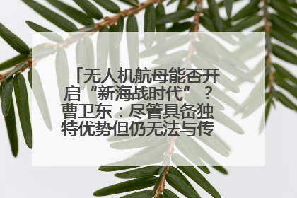 无人机航母能否开启“新海战时代”？曹卫东：尽管具备独特优势但仍无法与传统航母相提并论