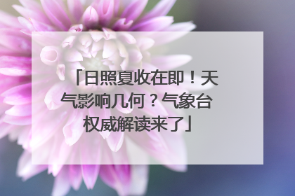 日照夏收在即！天气影响几何？气象台权威解读来了