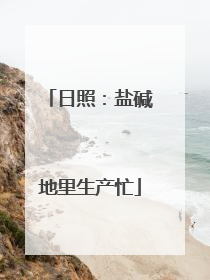 日照：盐碱地里生产忙