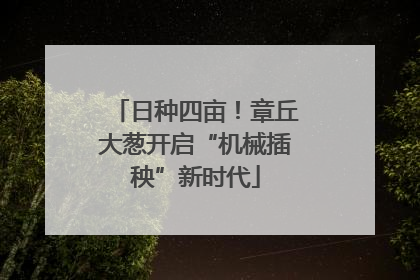 日种四亩！章丘大葱开启“机械插秧”新时代