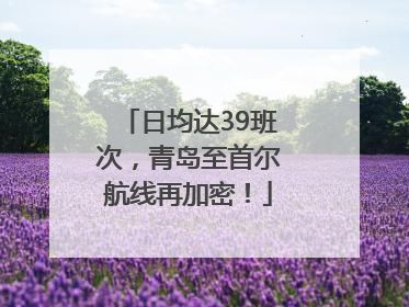 日均达39班次，青岛至首尔航线再加密！