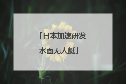 日本加速研发水面无人艇