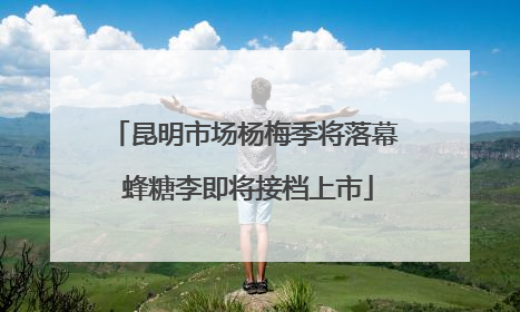 昆明市场杨梅季将落幕 蜂糖李即将接档上市