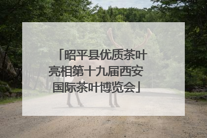 昭平县优质茶叶亮相第十九届西安国际茶叶博览会