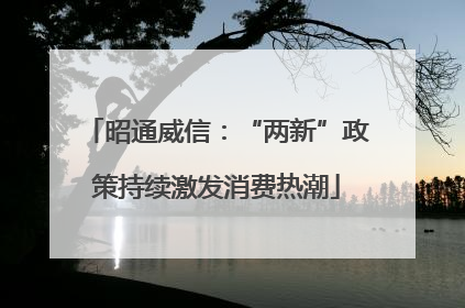 昭通威信：“两新”政策持续激发消费热潮