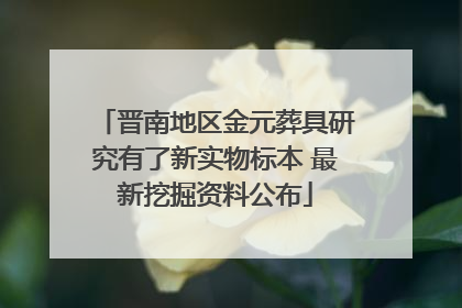 晋南地区金元葬具研究有了新实物标本 最新挖掘资料公布