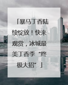 暴马丁香陆续绽放！快来观赏，冰城最美丁香季“终极大招”
