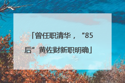 曾任职清华，“85后”黄佐财新职明确
